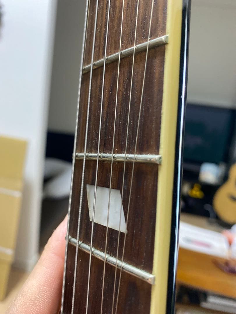 Epiphone casino coupe ダダリオ弦付き　即購入可