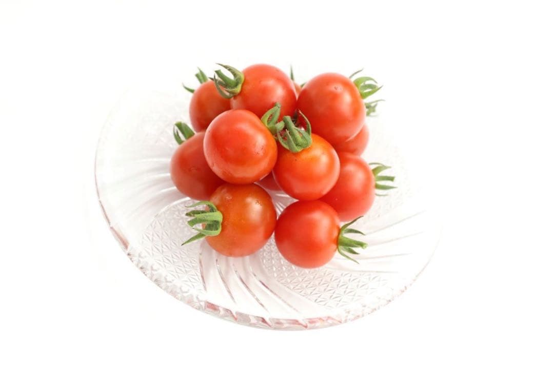 ミニトマト　15キロ　野菜　熊本　おやつ　弁当　おかず　ミネラル　リコピン