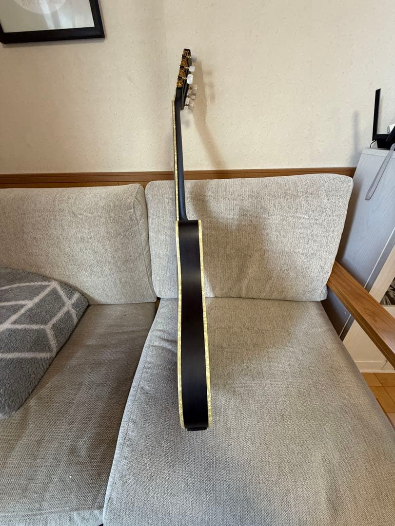 Ibanez TOD10N ナイロン弦 Tim Hensonモデル