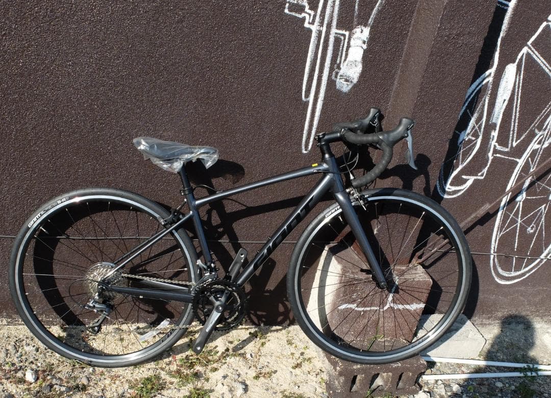 2024 GIANT CONTEND2 XS コールドアイアン