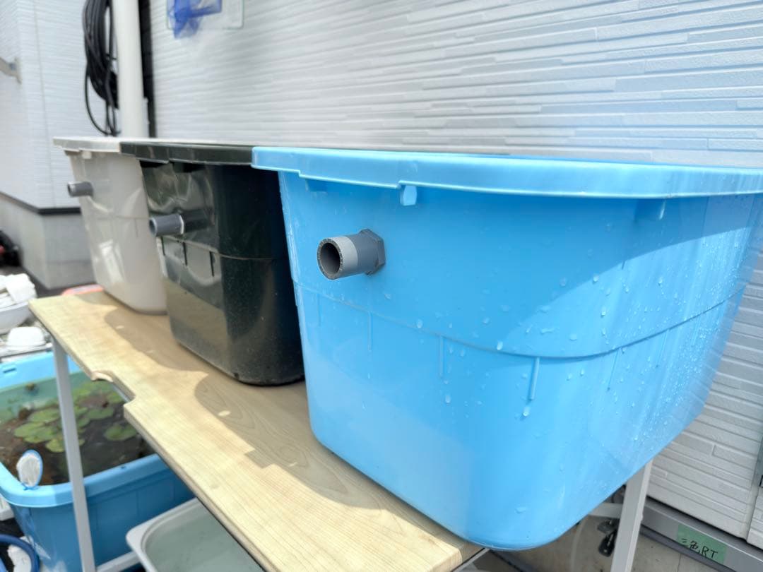 ★お買い得★たらい36L(5個)メダカ飼育容器オーバーフロー トロ舟プラ舟めだか