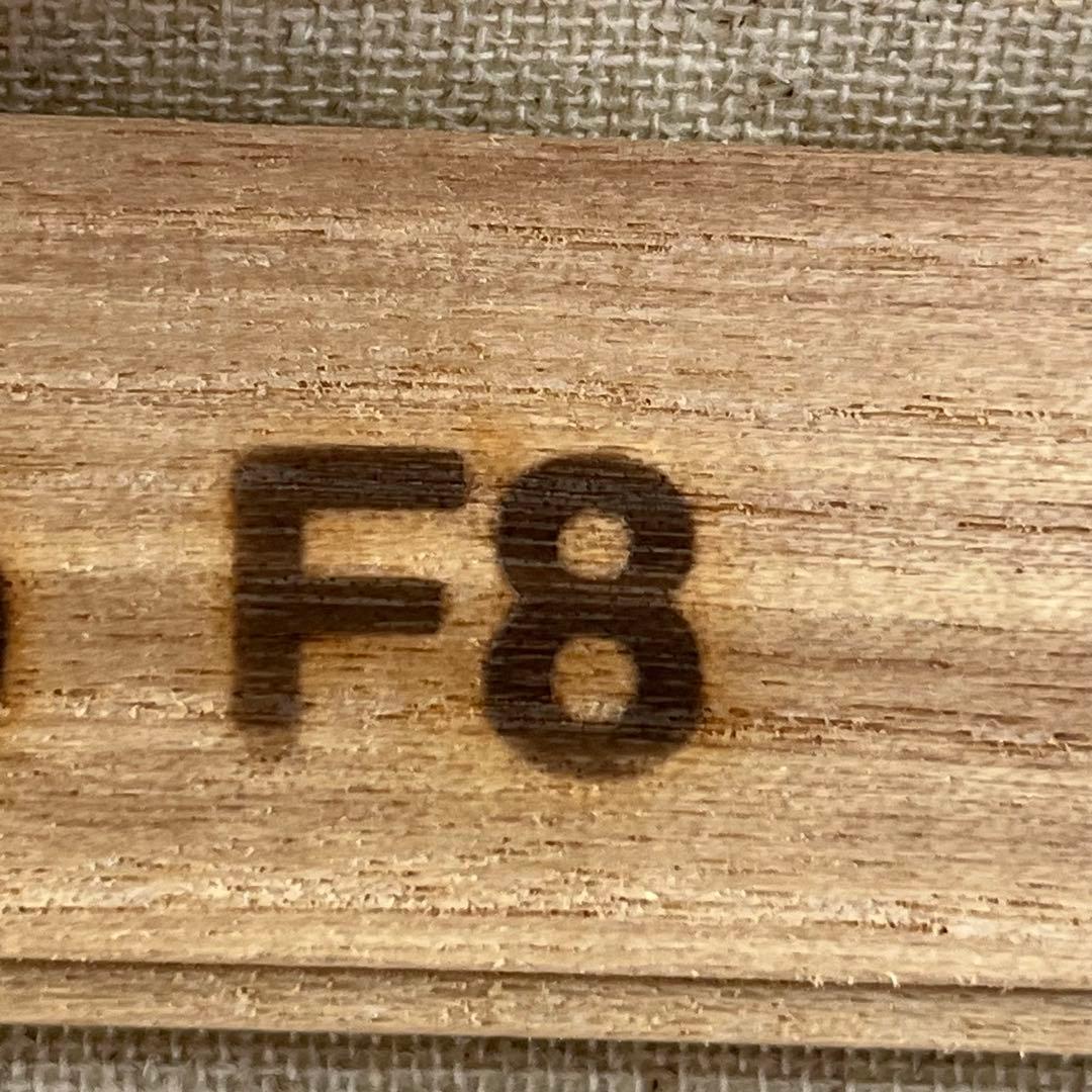 絵画 テクスチャーアート フラワー 花 ボタニカル アート 花図鑑