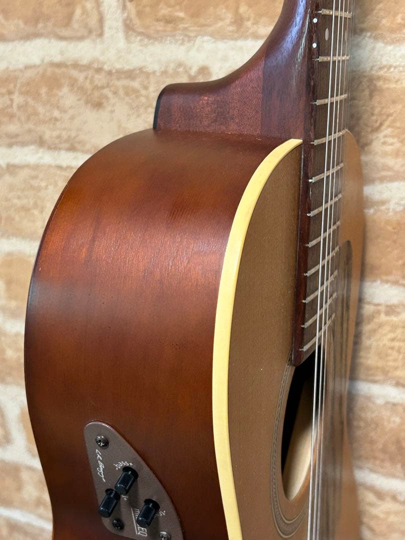 seagull grand(ハードケース付き エレアコ)