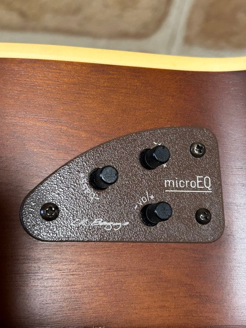 seagull grand(ハードケース付き エレアコ)