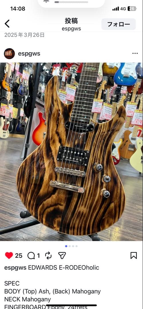 EDWARDS E-RODEOholic　GWS ロックペグ付き