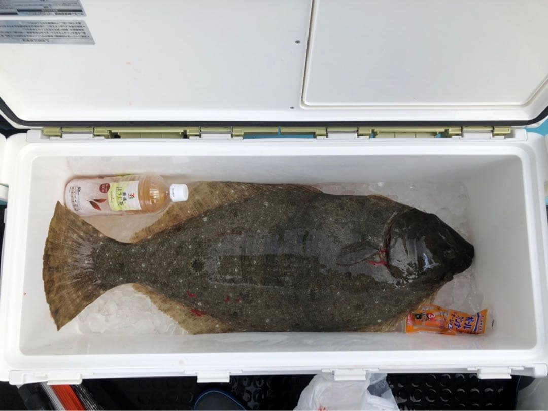 ダイワ シーボーグ300mj 1～2回使用