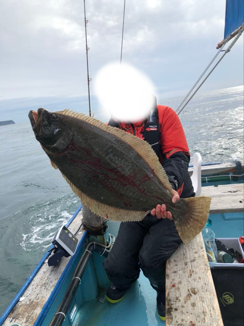 ダイワ シーボーグ300mj 1～2回使用