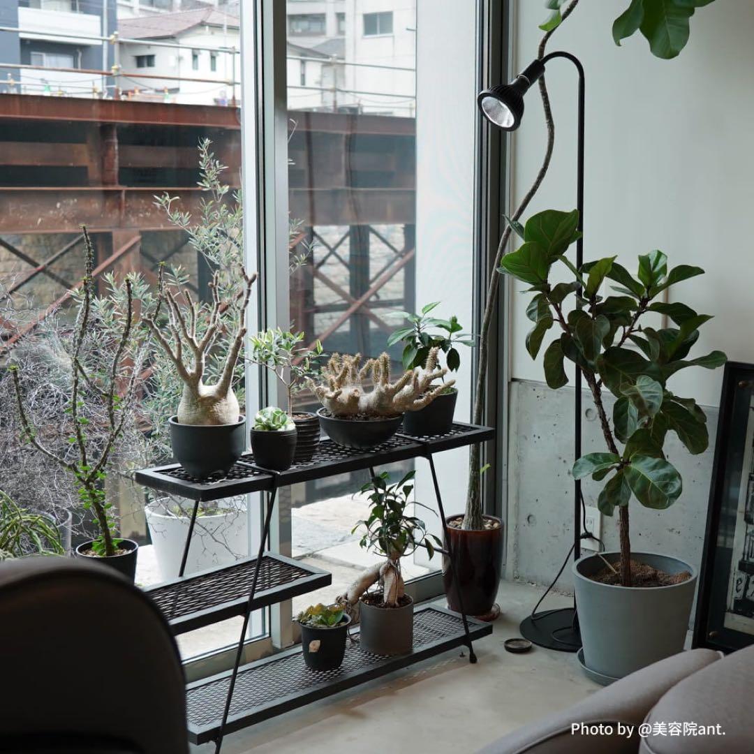 BARREL フレキシブルアームスタンドE26口金ソケット植物用水槽用