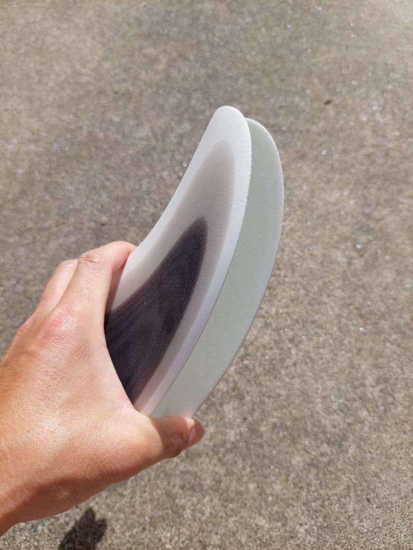 アルメリック　ツインフィン　FCS2