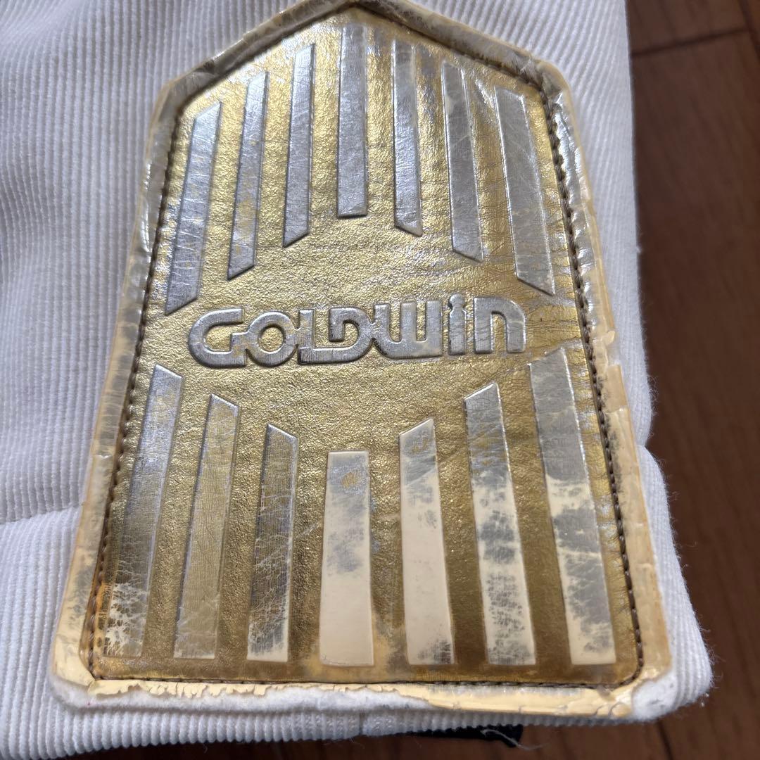 Goldwin スキーウェア カラフル上下