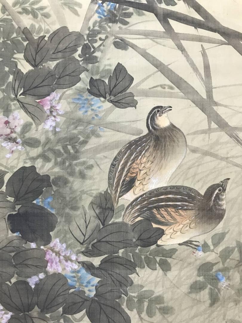 【真作】幸野楳峰/秋草鶉図/花鳥図/ウズラ図/掛軸/名家伝来/AC-293