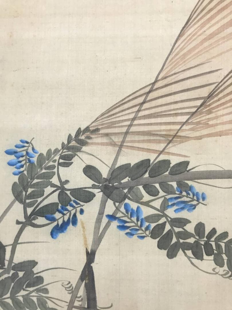 【真作】幸野楳峰/秋草鶉図/花鳥図/ウズラ図/掛軸/名家伝来/AC-293