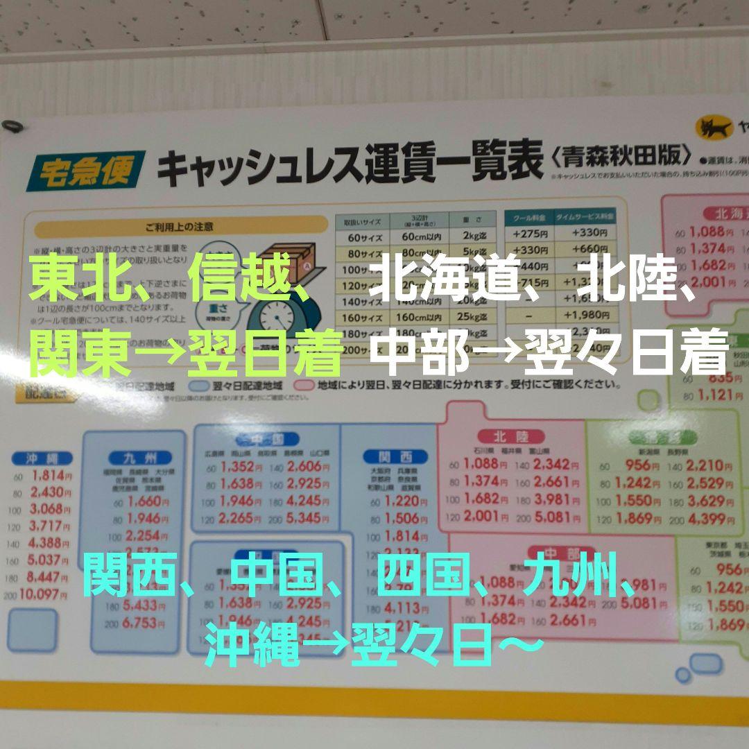 秋田県産 天然きのこ 10種類 MIX 塩漬け