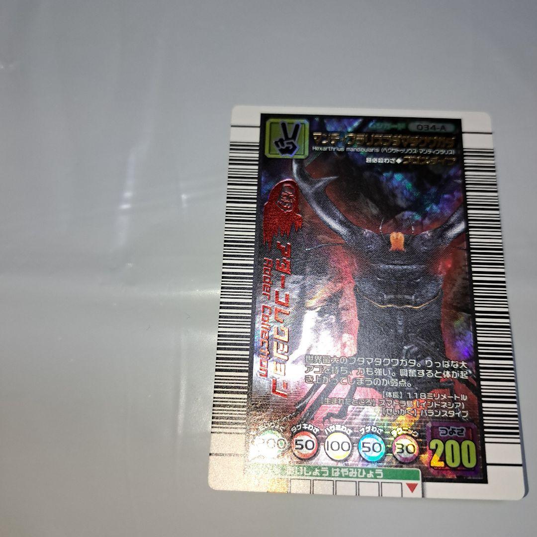 マンディブラリスフタマタクワガタ2005セカンドアダー