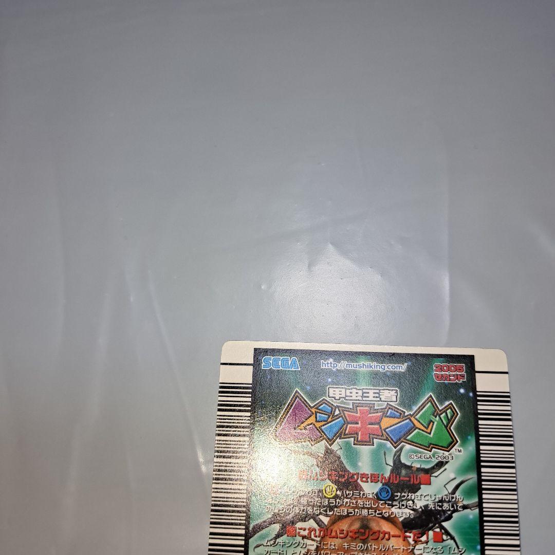 マンディブラリスフタマタクワガタ2005セカンドアダー