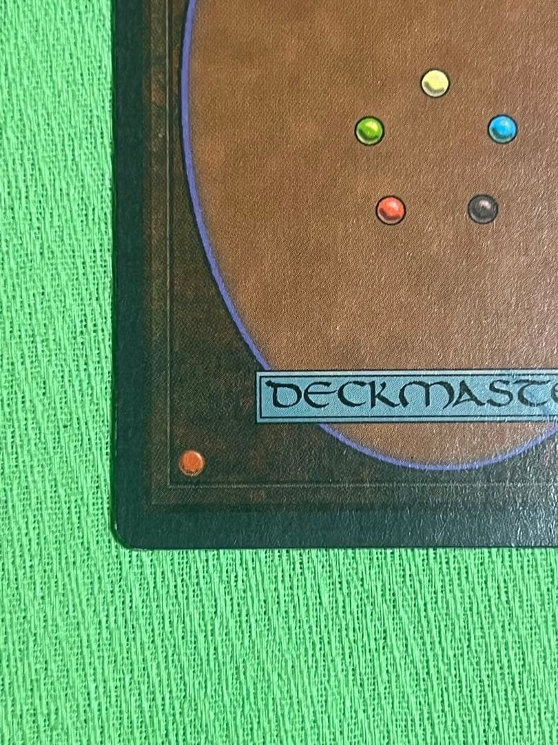 マジック：ザ・ギャザリング MTG Taiga