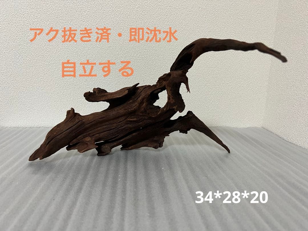 HX-095 流木　マシンガンウッド　ホーンウッド アクアリウム　ブランチウッド