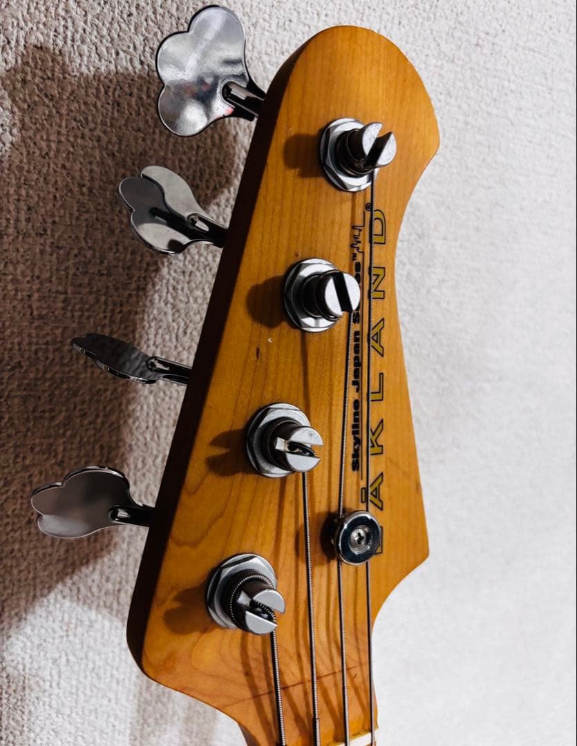 レイクランド　LAKLAND Skyline Series SK-4CL