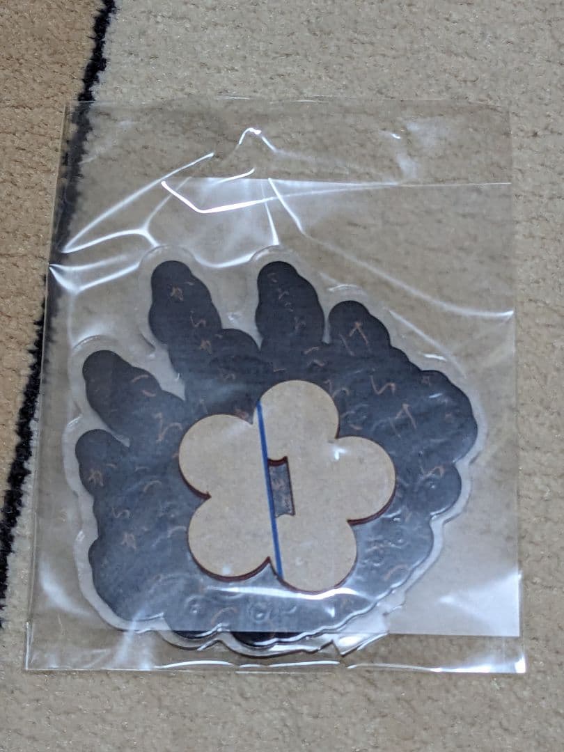 Visual系バンドD(ディー)・浅葱 グッズ17点まとめ売り