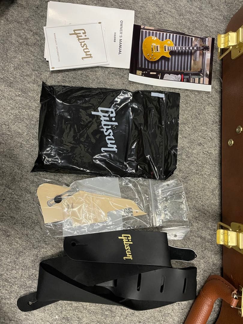 まる男専用　ギブソンUSA スラッシュ レスポール スタンダード アペタイト