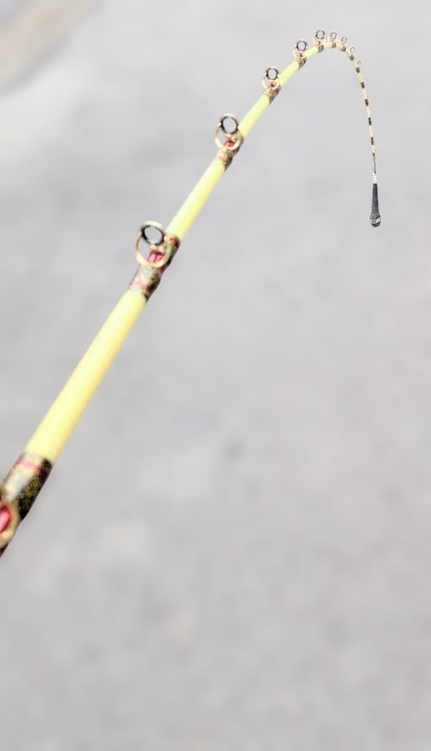 アリゲーター技研　ストーキングGF80-230 ＆ KAMOSHI 12lb