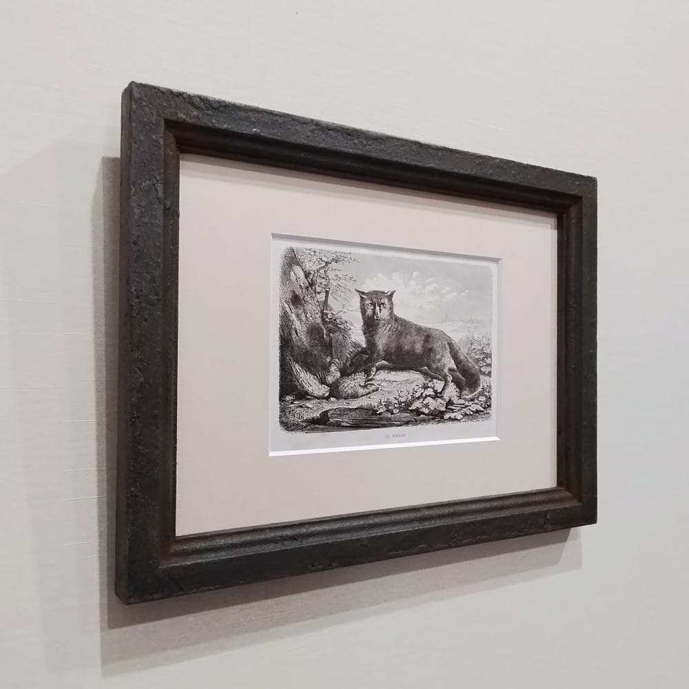 キツネの図版　フランス　アンティーク　版画　1880年　動物　博物画　額縁