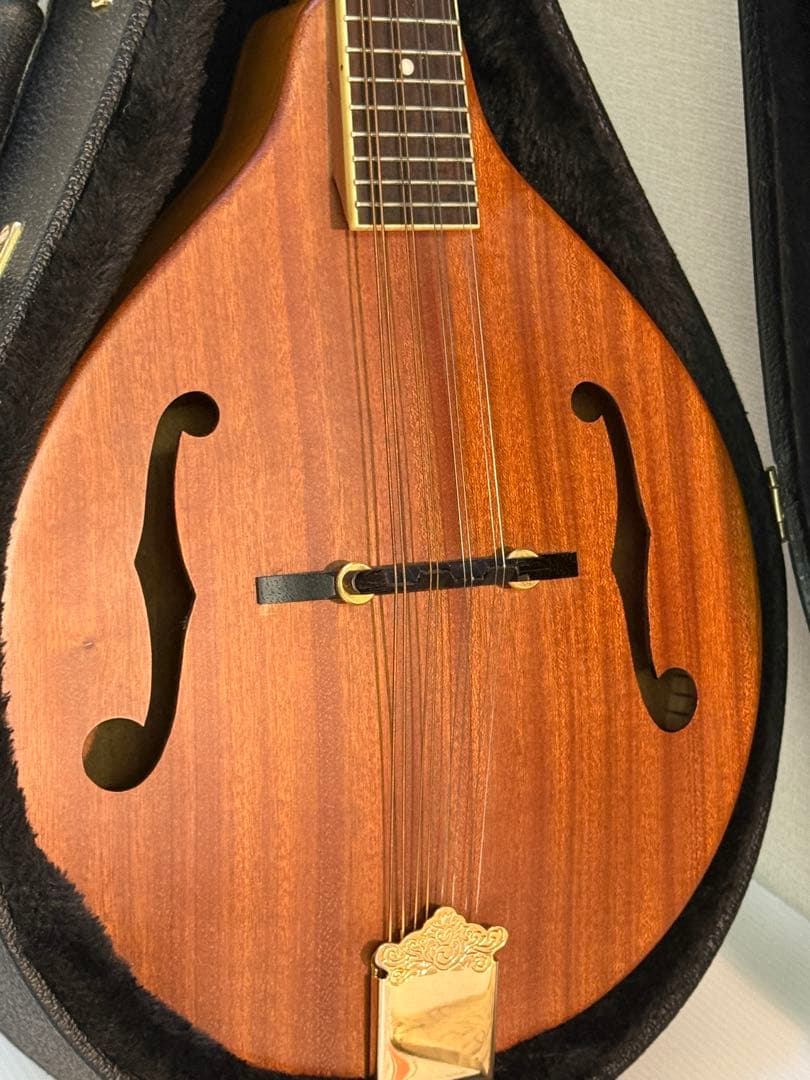 フラットマンドリンBeanBlossom By Morgan Monroe