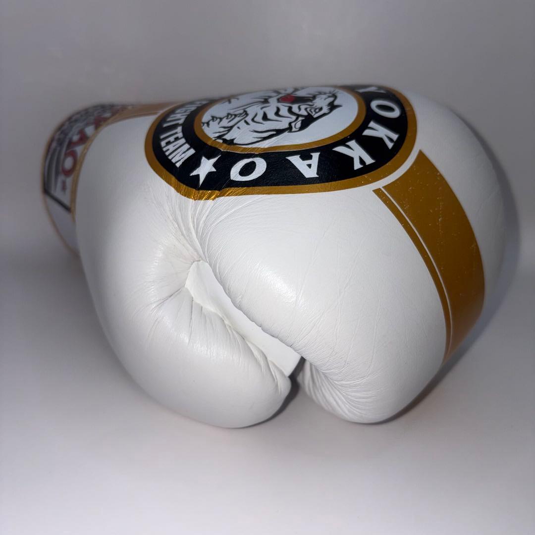 【希少モデル】 YOKKAO ヨッカオ 10オンス ボクシング グローブ