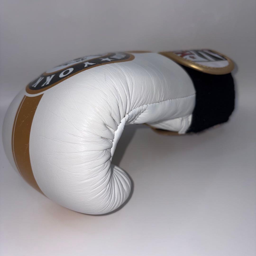 【希少モデル】 YOKKAO ヨッカオ 10オンス ボクシング グローブ
