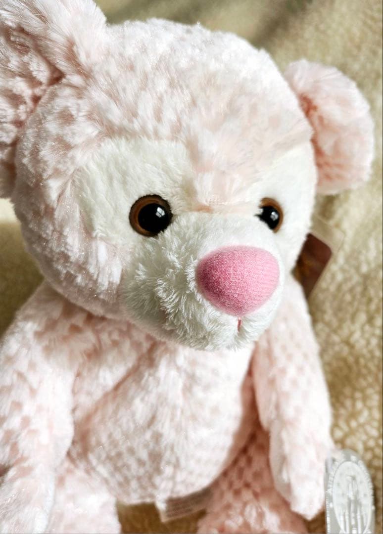 ディズニー　WDW限定　プリンセスダッフィー　ピンク