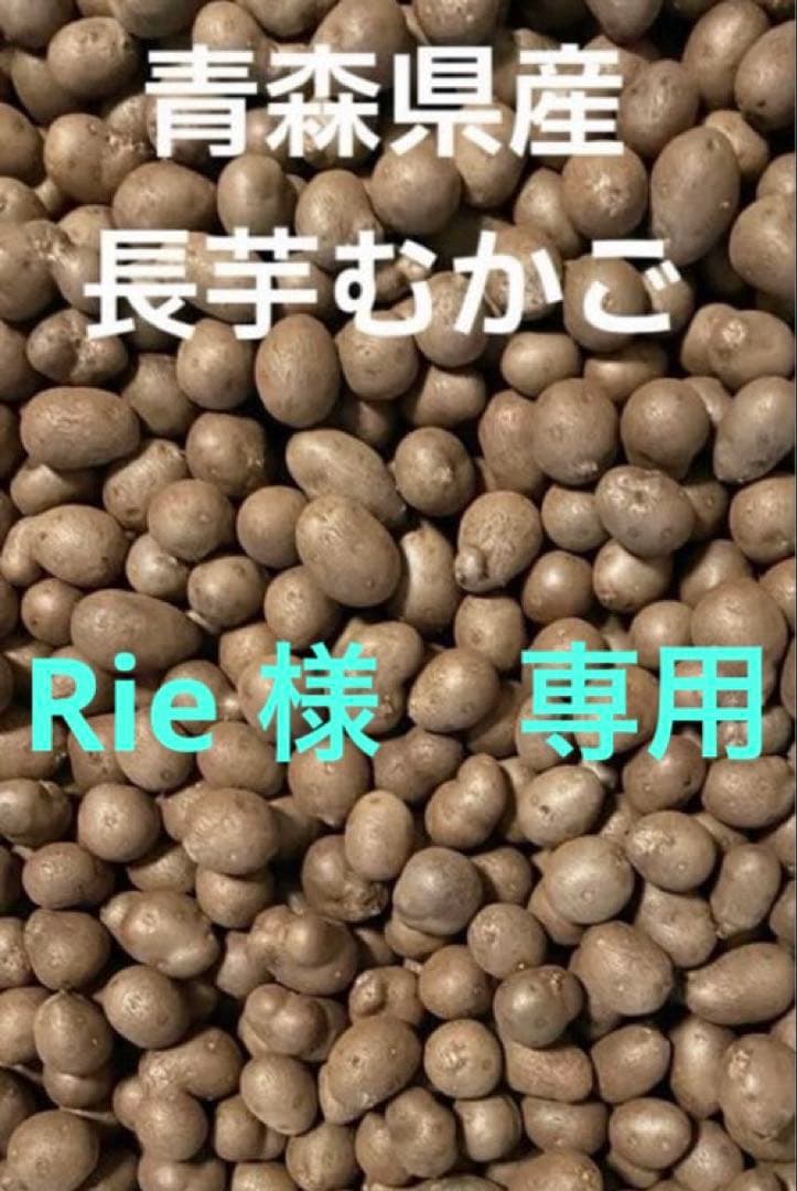 Rie 　青森県産　長芋のむかご7kg
