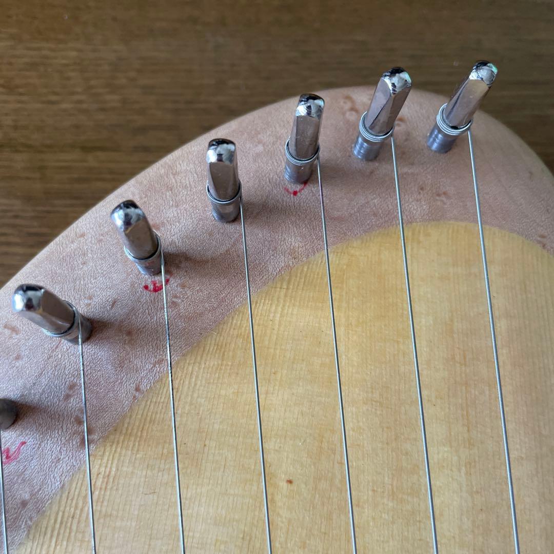 英円楽器 ライア 12弦