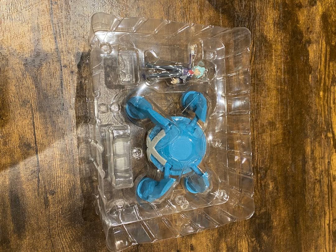 ポケモンスケールワールド　メタグロス&ダイゴ