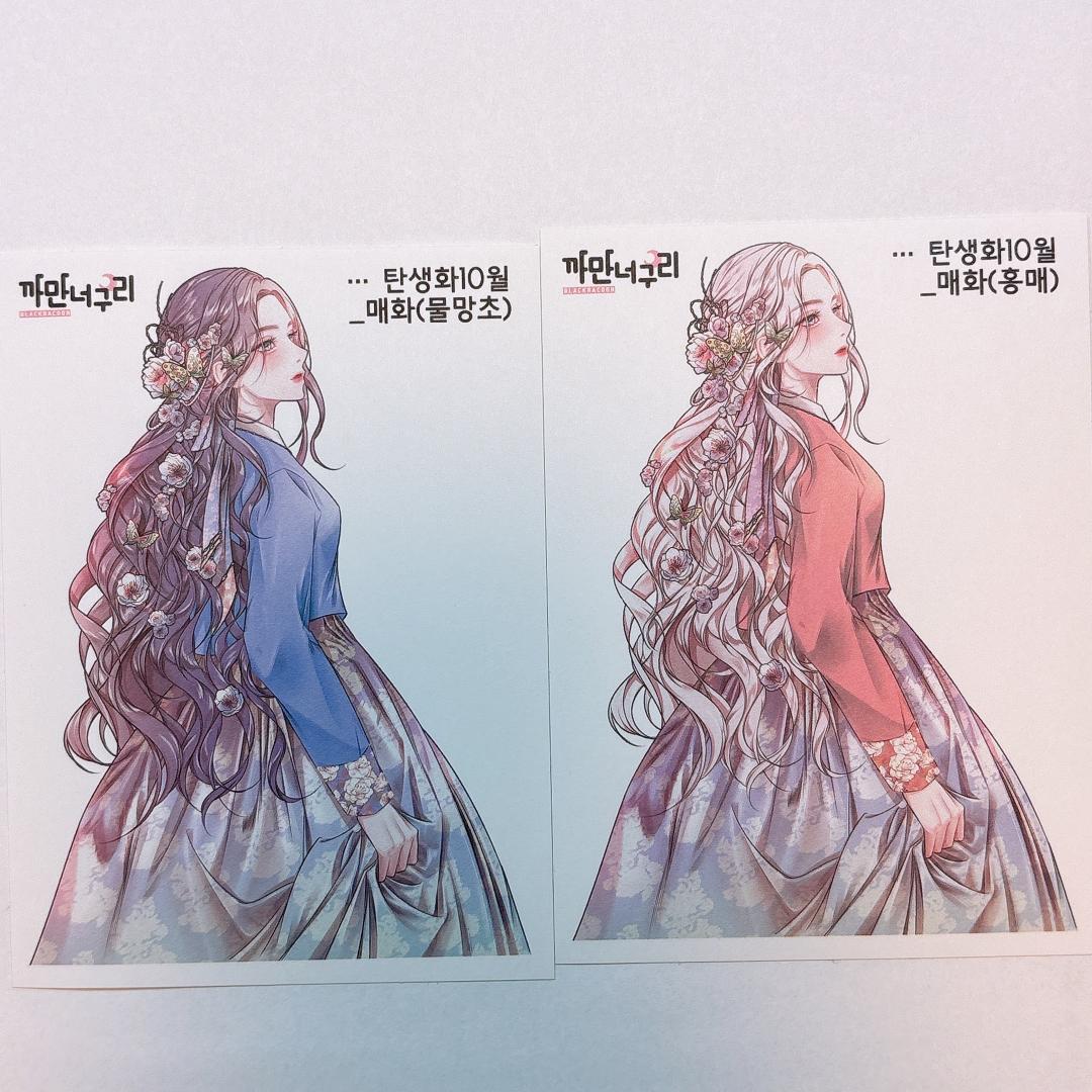 A3.人物ステッカー　韓国作家　黒いたぬき様　セット売り　在庫２セット