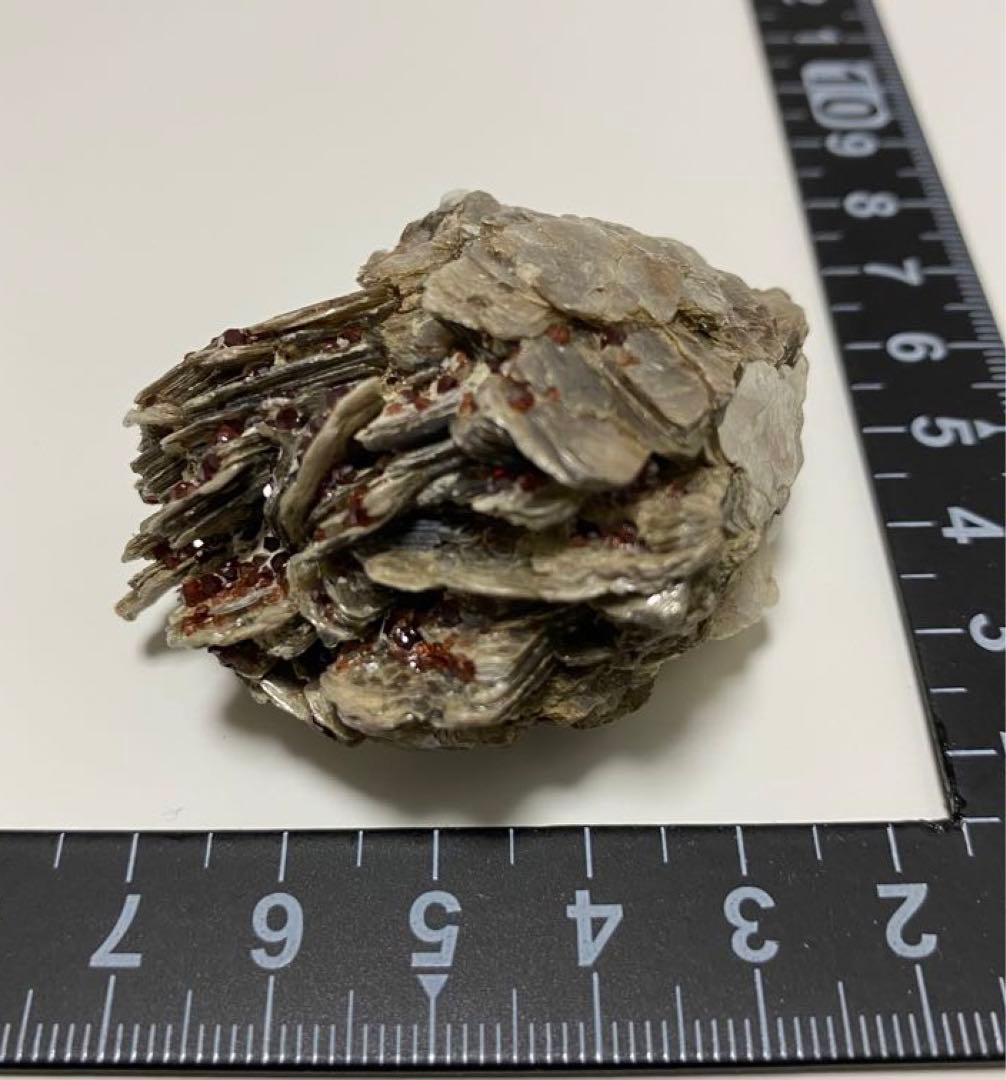 パキスタン産 白雲母上の満礬柘榴石 モスコバイト スペサルティン 外国産鉱物標本