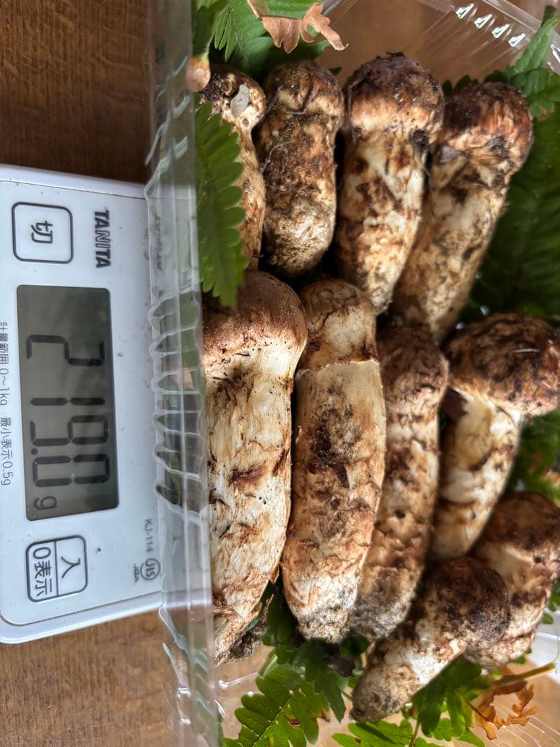 長野県　南信州産　松茸