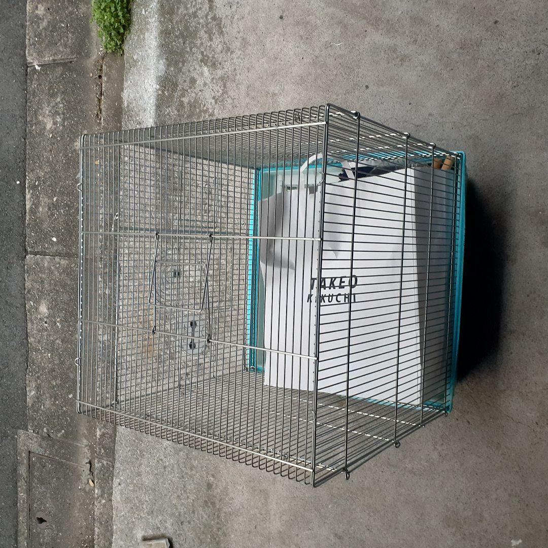 国産ホウエイバードゲージ