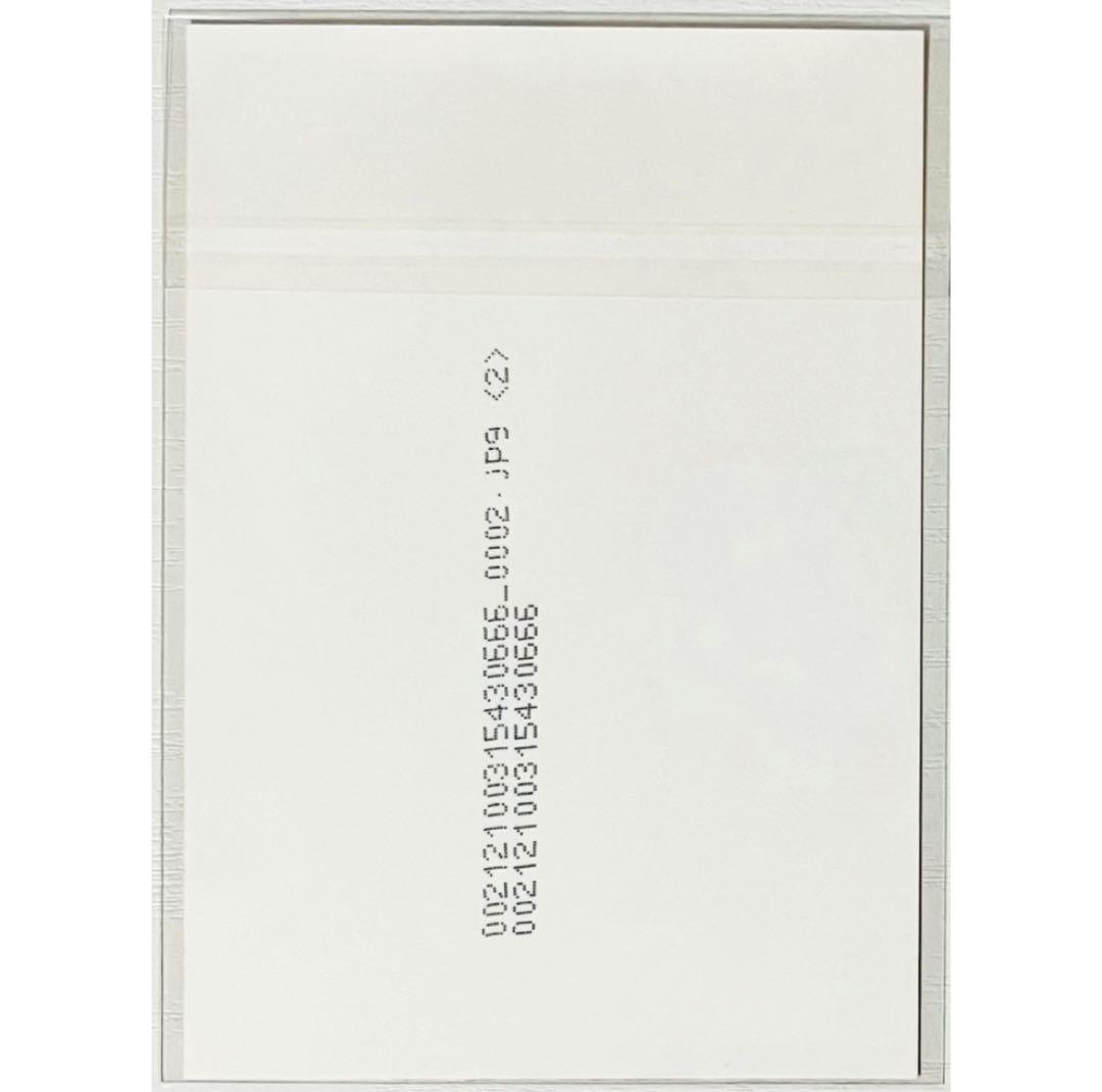 V系★ナイトメア【RUKA】FOOL'S MATE★ブロマイド★生写真★アー写