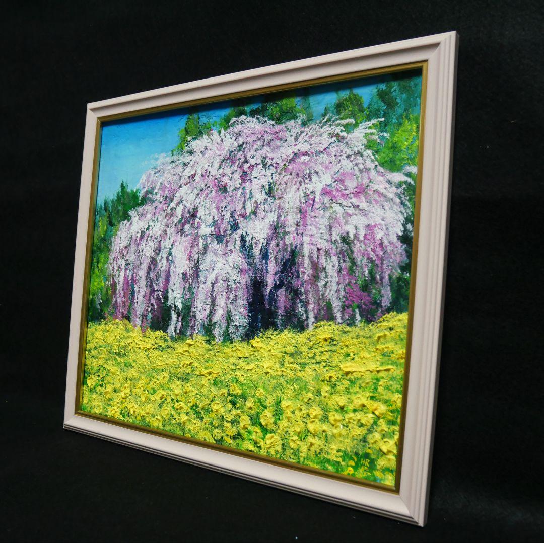 油絵 油彩 油彩画 絵 絵画 【しだれ桜】