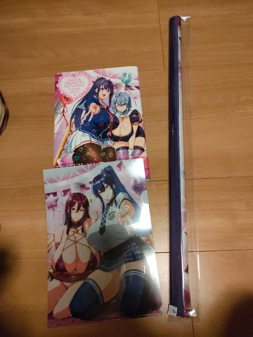 とらのあな　限定　武田弘光　クリアファイル　タペストリー　マケン姫　原画