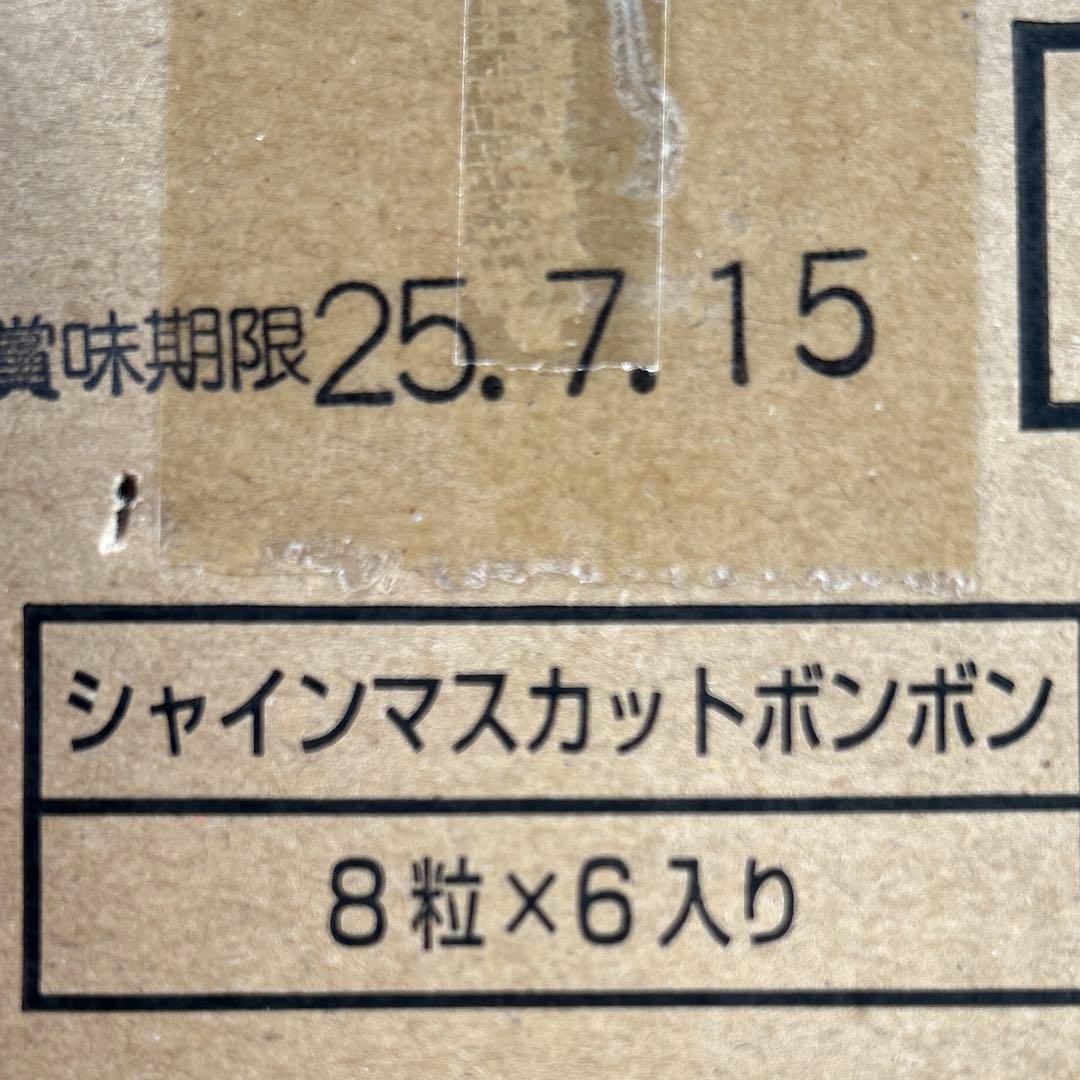 シャインマスカットボンボン　6個