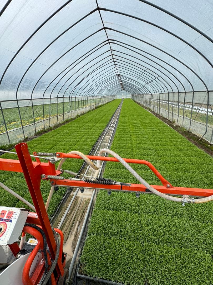 ななつぼし＊北海道産＊農家直送＊送料込み＊白米＊美味しいお米✳︎5キロ×2