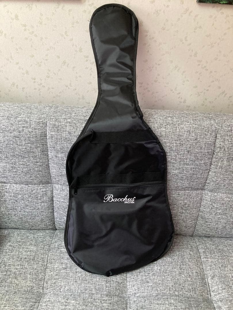 BACCHUS テレキャスタータイプ BTE-1 DX RSM/M CS