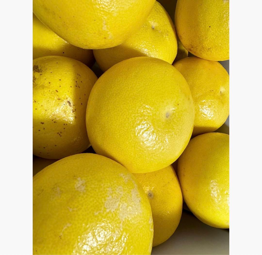 ③高知特産 露地栽培 土佐文旦 4L限定 文旦 約20kg 大玉 サイズ