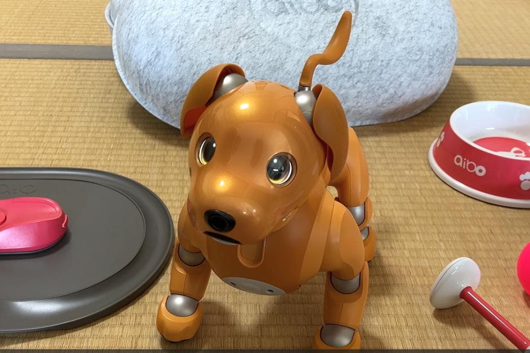aibo 「ERS-1000」キャラメルエディション 付属品あり