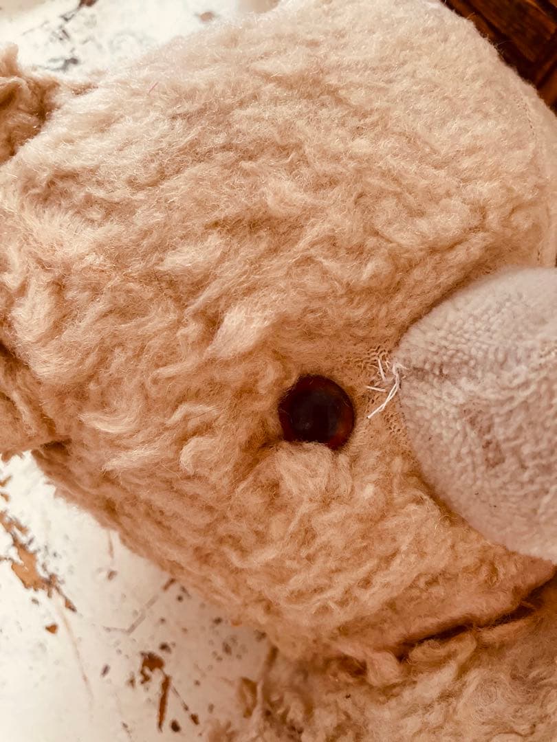 フランス　ヴィンテージベア　モコモコ♡⸝⸝⸝⸝ アンティークベア