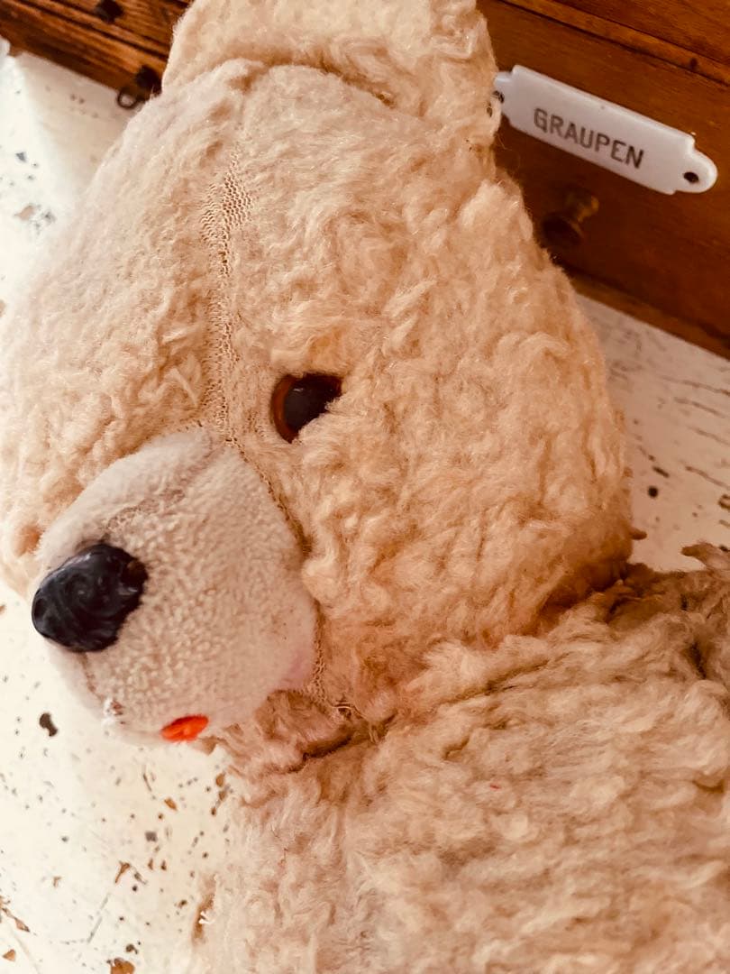 フランス　ヴィンテージベア　モコモコ♡⸝⸝⸝⸝ アンティークベア