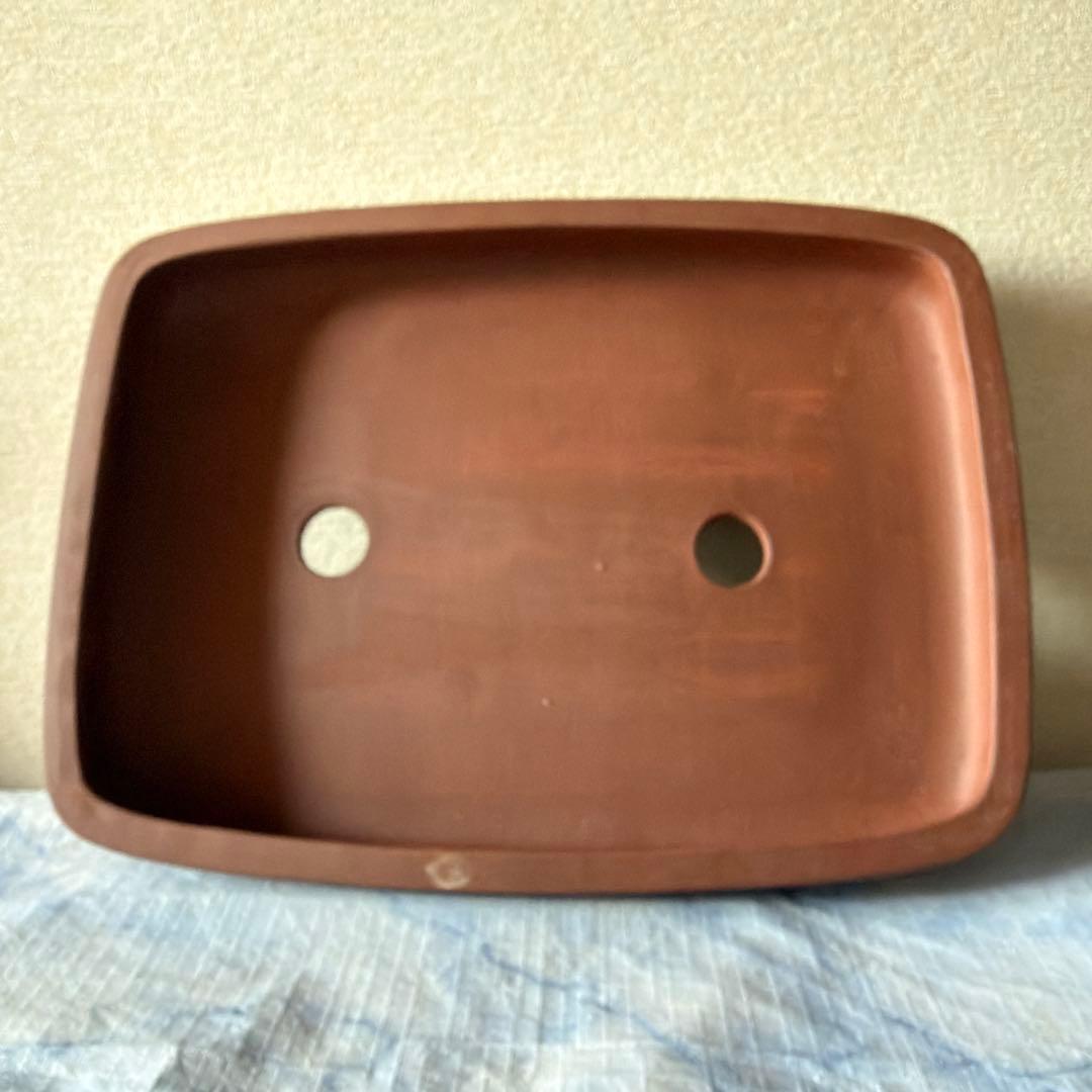 植木鉢　中国宜興　宜興　朱泥　盆栽