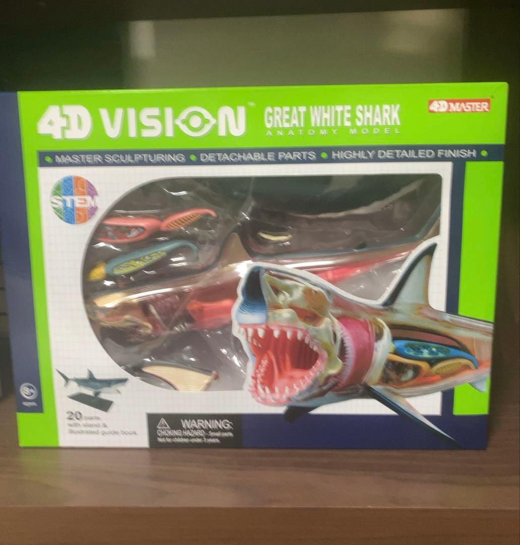 4Dビジョン ホホジロザメ 解剖モデル Great White Shark