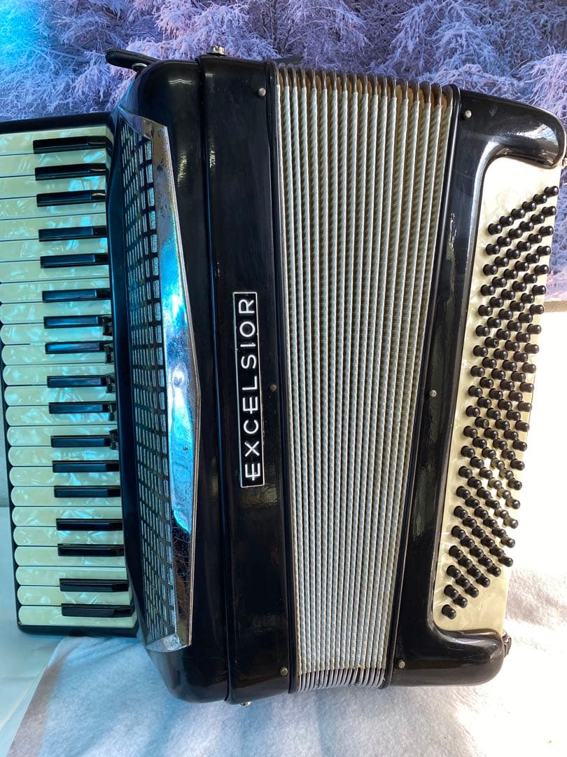 庭*修様 EXCELSIOR アコーディオン41鍵120B hz 443定評のグ